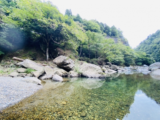 福岡の映像制作向けロケ地 中ノ島公園 水遊び 自然 紅葉撮影 福岡の映像制作 動画制作会社givee